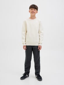 Jack & Jones Loose Fit Hosen Junior -Black Sand - 12277693