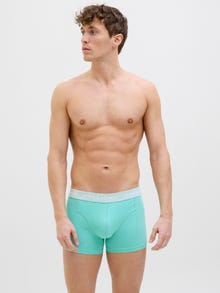 Jack & Jones 12-pakuotės Trumpikės -Sea Spray - 12277825