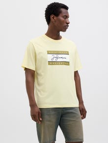 Jack & Jones Shop den Look - 2111203588