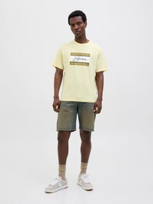 Jack & Jones Shop den Look - 2111203588