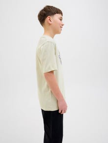 Jack & Jones Printed T-shirt Junior -Celadon Tint - 12278350