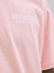 Jack & Jones Printed Crew neck T-shirt -Tickled Pink - 12278390
