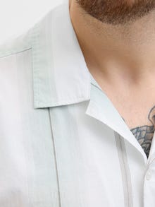 Jack & Jones Plus Size Chemise Relaxed Fit -Dried Sage - 12278453