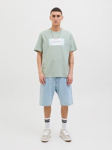Jack & Jones Logo T-shirt -Iceberg Green - 12278508