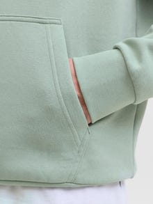 Jack & Jones Logotip Jopica -Iceberg Green - 12278614