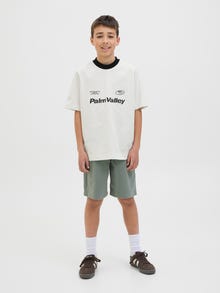 Jack & Jones Bedrukt T-shirts Junior -Cloud Dancer - 12278665