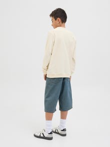 Jack & Jones Gedruckt Sweatshirt Junior -Ecru - 12278672