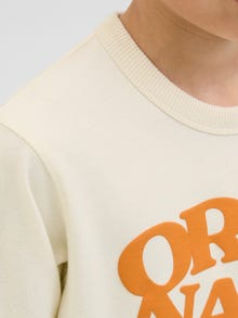 Jack & Jones Gedruckt Sweatshirt Junior -Ecru - 12278672
