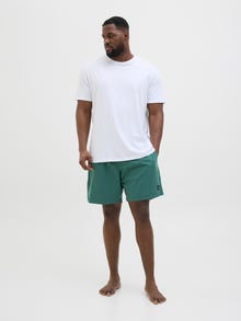 Jack & Jones Plus Size Regular Fit Swim shorts -Mallard Green - 12278711
