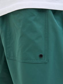 Jack & Jones Plus Size Normal passform Badshorts -Mallard Green - 12278711