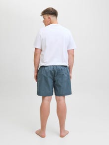 Jack & Jones ПЛУС Обично уклапање Шортс за пливање -Stormy Weather - 12278714
