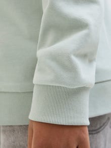 Jack & Jones Minipituinen Logo Huppari -Aqua Gray - 12278760