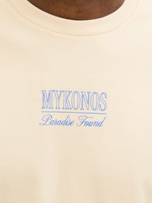 Jack & Jones Shop den Look - 2111203558