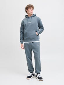 Jack & Jones Printet Hættetrøje -Stormy Weather - 12278789