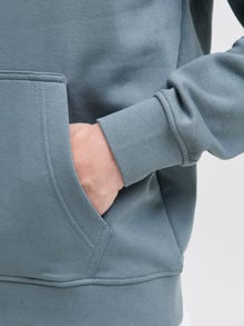 Jack & Jones Printet Hættetrøje -Stormy Weather - 12278789