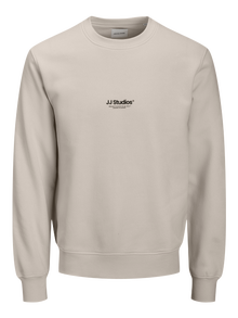 Jack & Jones Printat Hanorace -Moonbeam - 12278791
