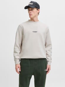 Jack & Jones Spausdintas raštas Megztiniai -Moonbeam - 12278791