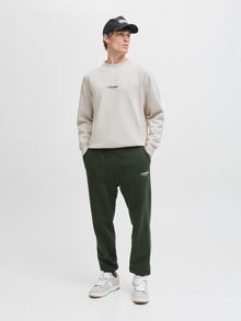 Jack & Jones Spausdintas raštas Megztiniai -Moonbeam - 12278791