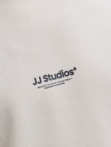 Jack & Jones Spausdintas raštas Megztiniai -Moonbeam - 12278791