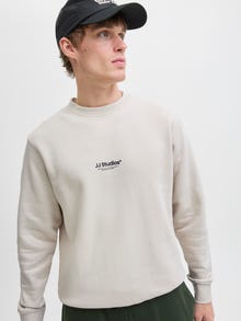 Jack & Jones Pullover -Moonbeam - 12278791