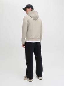 Jack & Jones Natisnjeno Jopica -Moonbeam - 12278794