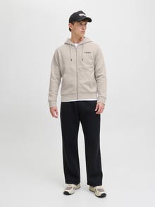 Jack & Jones Natisnjeno Jopica -Moonbeam - 12278794