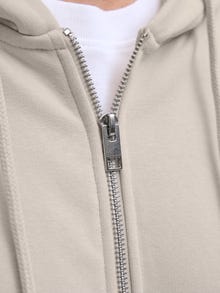 Jack & Jones Natisnjeno Jopica -Moonbeam - 12278794