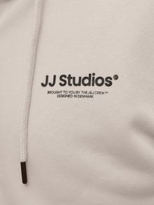 Jack & Jones Natisnjeno Jopica -Moonbeam - 12278794