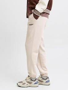 Jack & Jones Jogger Regular Fit -Moonbeam - 12278943