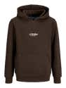 Sweatshirt à Capuche Jack & Jones Pour Garçon - Pull Hoodie Confortable, Coupe Régulière, Marque Danoise - 6