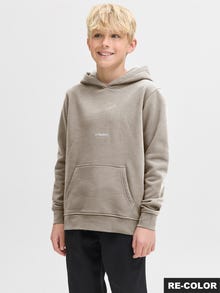 Jack & Jones Sudadera con capucha Estampado Junior -Moonbeam - 12279109