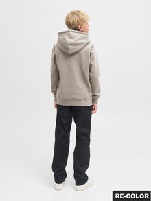 Jack & Jones Sudadera con capucha Estampado Junior -Moonbeam - 12279109