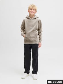 Jack & Jones Sudadera con capucha Estampado Junior -Moonbeam - 12279109