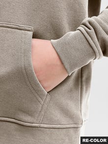 Jack & Jones Sudadera con capucha Estampado Junior -Moonbeam - 12279109