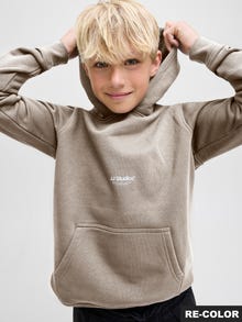 Jack & Jones Sudadera con capucha Estampado Junior -Moonbeam - 12279109