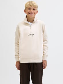 Jack & Jones Tryck Sweatshirt Junior -Moonbeam - 12279117