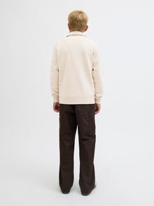 Jack & Jones Tryck Sweatshirt Junior -Moonbeam - 12279117