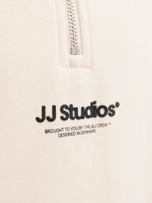Jack & Jones Printano Pullover JUNIOR -Moonbeam - 12279117