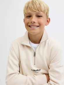 Jack & Jones Printano Pullover JUNIOR -Moonbeam - 12279117