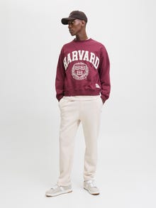 Jack & Jones Consigue el look - 2111205102
