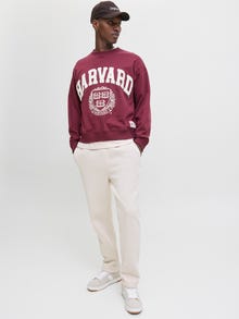Jack & Jones Consigue el look - 2111205102