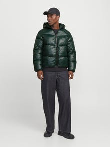 Jack & Jones Adoptez le look - 1908203924