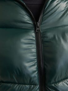 Jack & Jones Adoptez le look - 1908203924