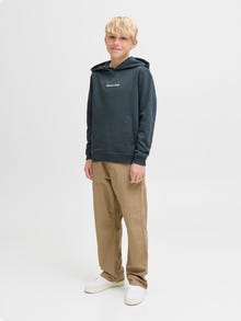 Jack & Jones Klasyczne spodnie Junior -Elmwood - 12279361