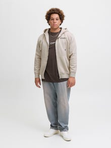 Jack & Jones Plus Size Gedruckt Kapuzenpullover -Moonbeam - 12279517