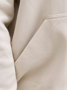 Jack & Jones Качулка ПЛЮС -Moonbeam - 12279517