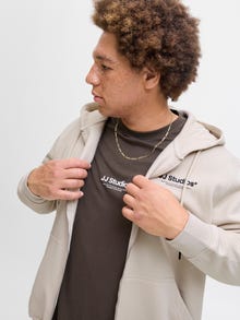 Jack & Jones Plus Size Gedruckt Kapuzenpullover -Moonbeam - 12279517