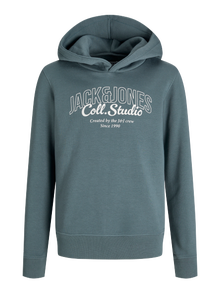 Jack & Jones Sweat à capuche Junior -Stormy Weather - 12279579