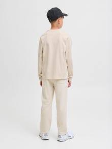 Jack & Jones Longsleeved T-shirt Junior -Moonbeam - 12279592