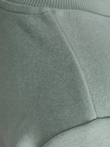 Jack & Jones Sweatshirts Mini -Iceberg Green - 12279607